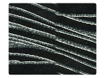 153 Silver Line Black Velvet